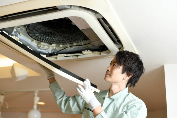 Best Home Air Vent Cleaning  in Rock Valley, IA